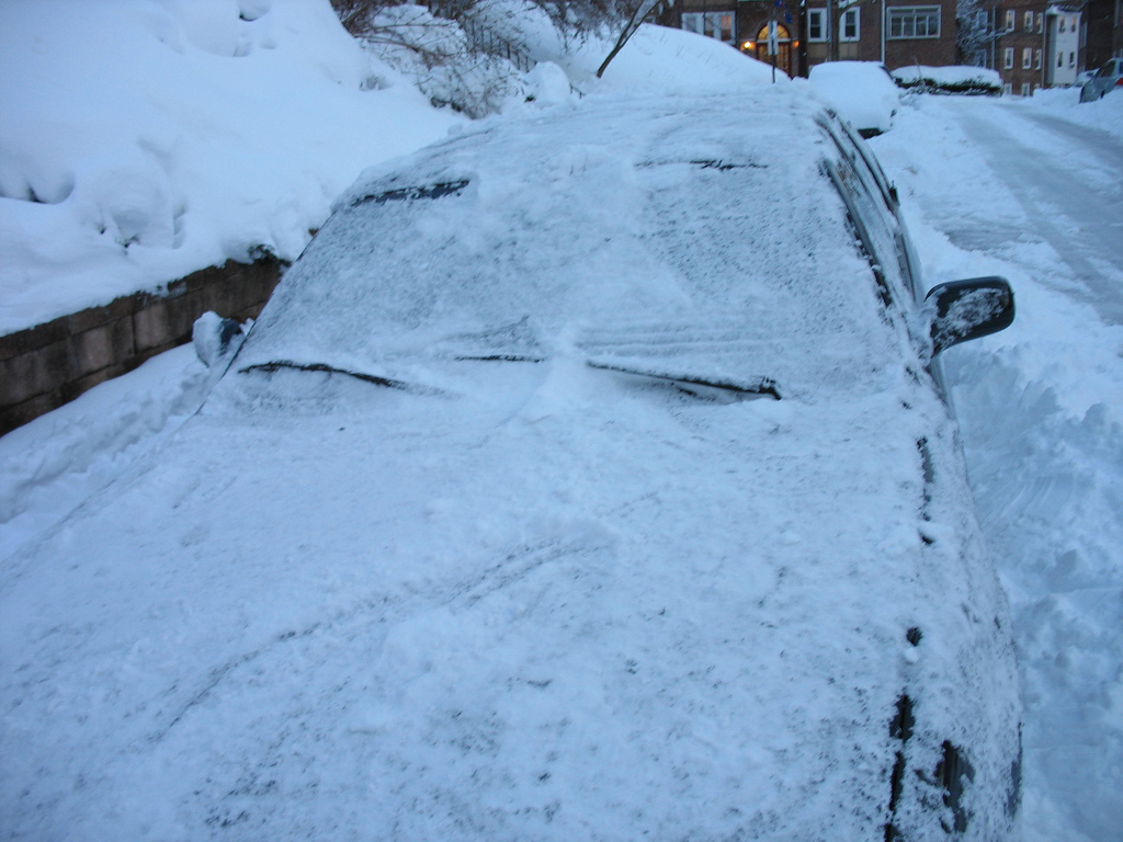 car windscreen winter shade