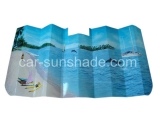 cardboard sunshade