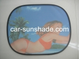 side car sunshade